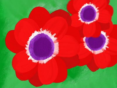 Anemone digital illustration floral flower illustration