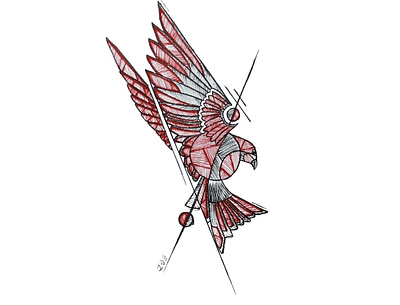 Bird branding design graphic design illustration logo ui ux vector