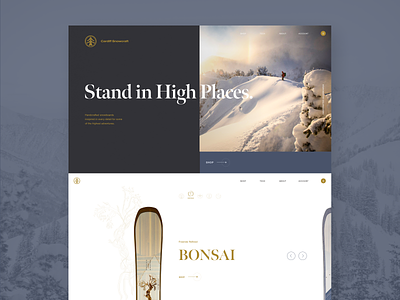 Cardiff Ecommerce Site design ecommerce homepage outdoor snowboard ui web webdesign website