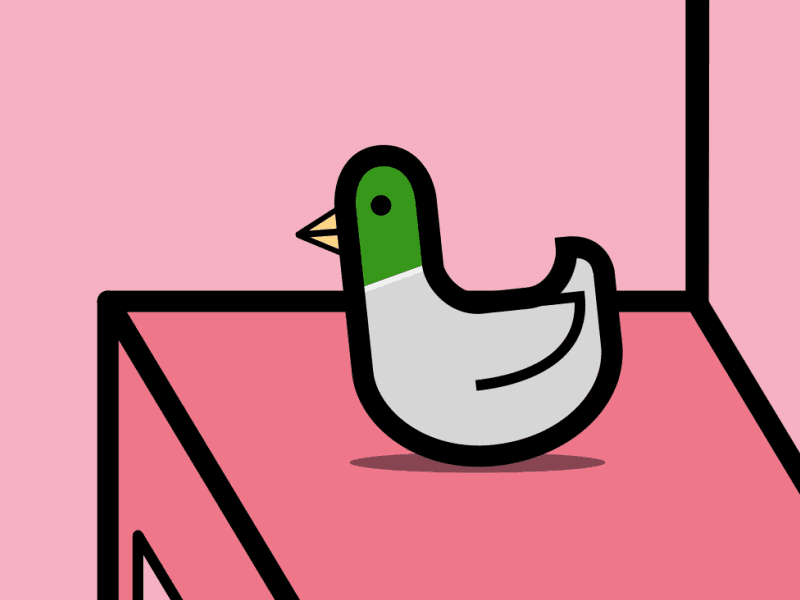 Quack em up 100dayproject animation ducks rocking
