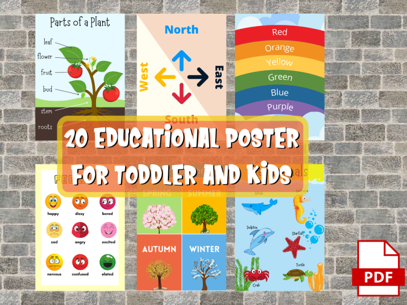 Educational Poster for toddler and kids by Marcus Jungnickel on Dribbble
