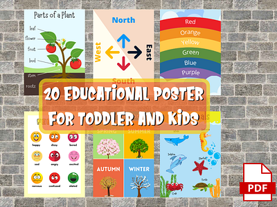 Educational Poster for toddler and kids branding design graphic design illustration logo