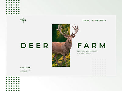 Deer farm branding design ui ux web
