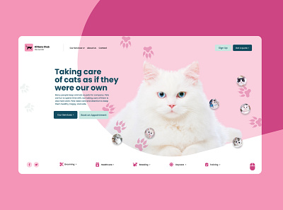 Cat Care app branding care cat cats design dogs graphic design illustration logo petcare pets typography ui ux vector