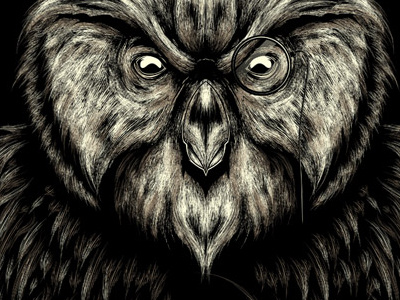 Wisest Owl Detail