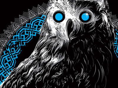 Midnight Owl - Canvas Print bird black canvas gray midnight owl prey print teal