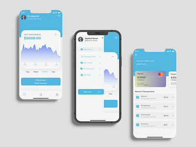Moneybag mobile app design
