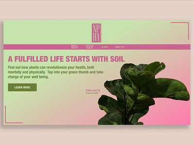 NPHA branding design logo ui ux web design