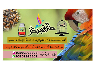 Pets Medicine Label Design design graphic design typography urdu