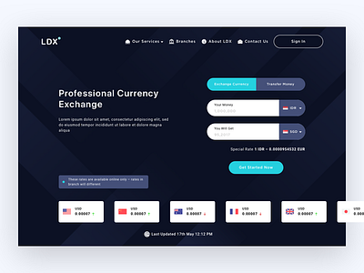 LDX Landing Page clean currency exchange exchanger interface landing minimalist ui web website