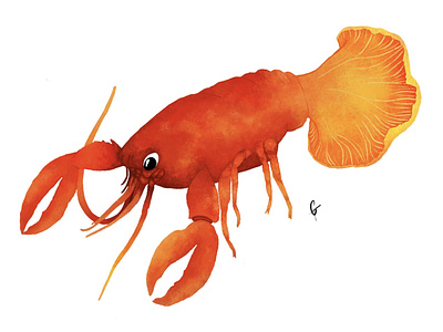 Lobster Mushroom digital drawing illustration procreate