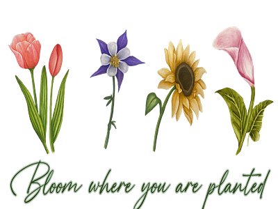 Bloom Where You Are Planted Design design floral illustration painting