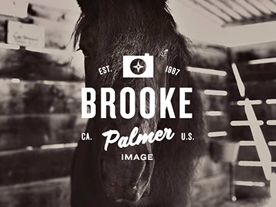 Brooke Palmer brooke horse image lockup logo palmer photography type typography wordmark