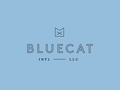 Cat Logo cat geometric logo typography