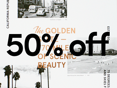CYBER MONDAY california cyber monday discount gold foil online poster print shop typography