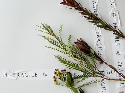 Fragile Tape branding fragile tape typography
