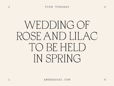 #tuesdaytypeface references tuesday typeface type type design typefaces typography