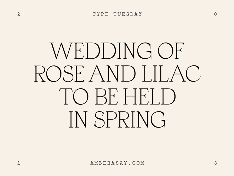 #tuesdaytypeface type design tuesday typeface references type typefaces typography