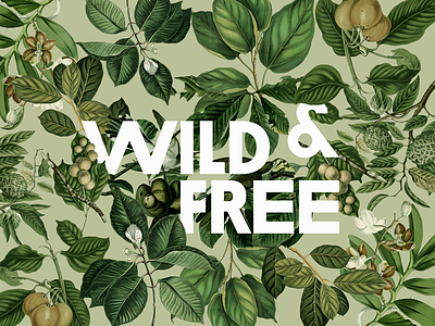 Wild & Free ampersand botanical brand identity branding cafe illustration logo mural restaurant vintage wall