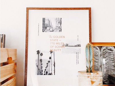 Variety Show palm trees california golden state online shop shop discount print