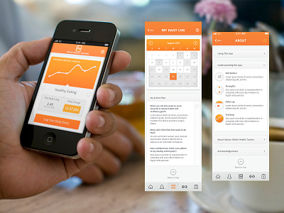 2013 Optum WHT app design ui ux