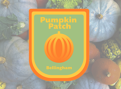 Pumkin Patch | Bellingham figma graphic design illustration ui ux