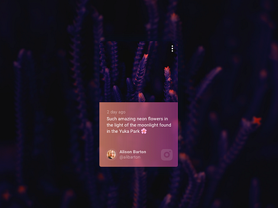 Social Card - Instagram card comment facebook gradient landscape social ui ux