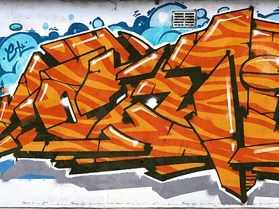 Street Graffiti graffiti graffiti art handmade illustration lettering letters street streetart wall