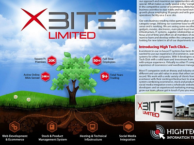 SME feature, Derbyshire Times (01/03/2013) growth sky success tree