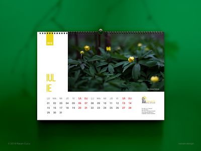 2019 Wall Calendar calendar design designer designiasi freelancer graphicdesign layout nature photography printdesign wall
