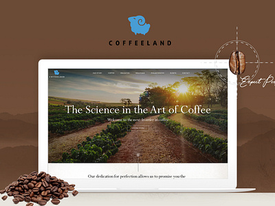 UI/UX for Coffee Company branding coffee illustration landing page uiuxdesign web design