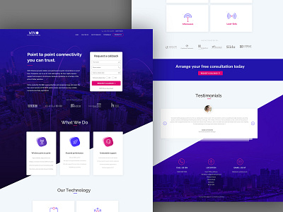 Landing Page design for Wireless Security Agency