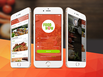 Food Now Mobile App Design