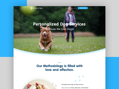 Dog Walking Landing page Design