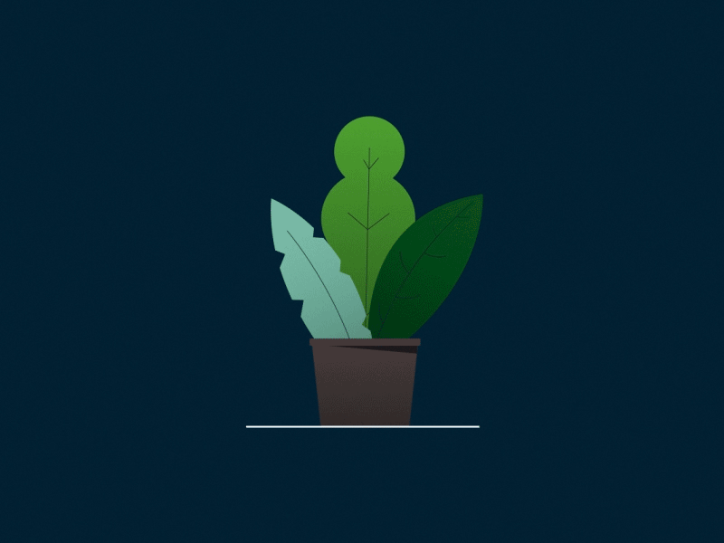 Plant Pot 2d adobe after after effects animation animator design effects icon illustration illustrator leaf loop motion graphics office plant plant pot