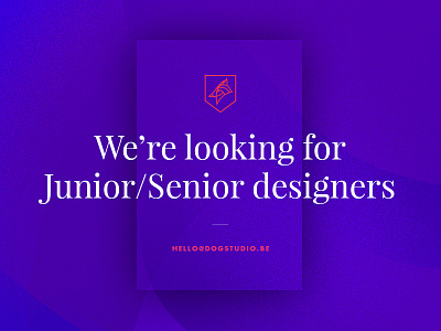 We're hiring designers art belgium designer digital director dogstudio hiring job jobs junior senior