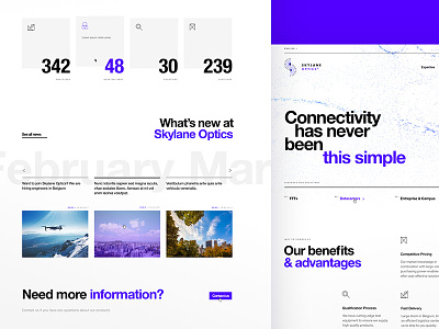 Skylane Optics - Homepage black creativity dogstudio fonts layout product scroll simple webdesign white
