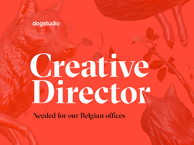 Hiring a Creative Director art belgium creative designer digital director dogstudio hiring job jobs senior