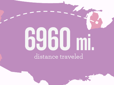 Mii travel stats infographic pink