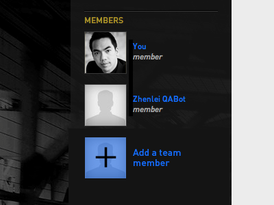 Add a team member