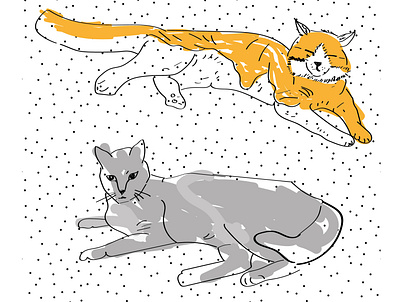 Gatos cat design illustration vector