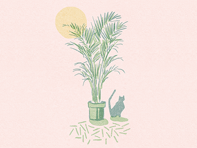 Still Life blob brush cat illustrator plant sun