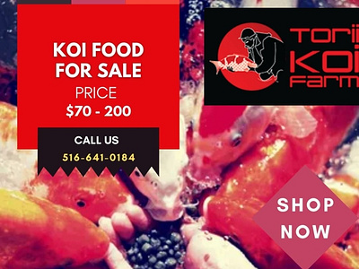 Koi Food For Sale Online - Best Koi Food   - Torii Koi Farm