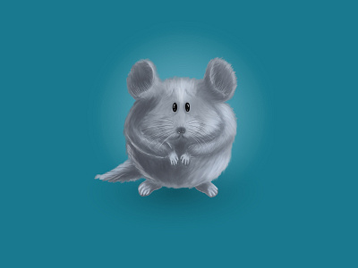 Chinchilla adobe photoshop art character chinchilla digital art digital illustration illustration