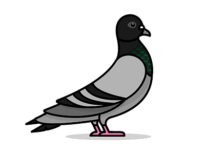 A pigeon among others illustration pigeon