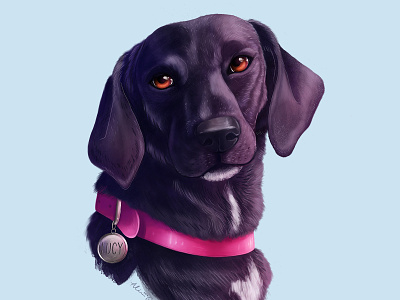 Lucy animal dog illustration pet portrait