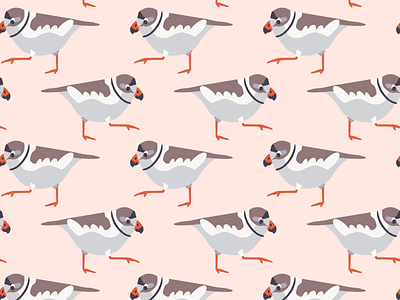 Plover Repeat bird art bird illustration design digital illustration illustration logo ocean bird piping plover procreate procreate art