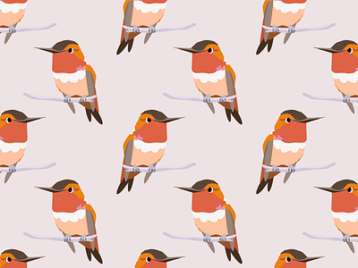Hummingbird Repeat :) bird art bird illustration digital illustration hummingbird illustration pattern procreate procreate art repeat surface pattern