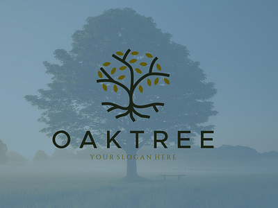 oak tree logo presentation