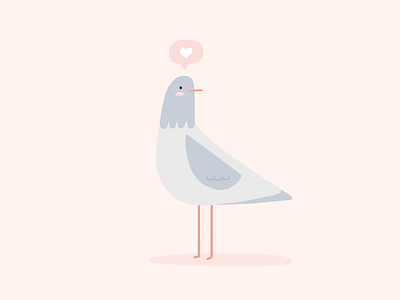 Little Pigeon